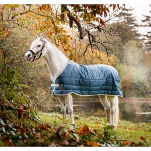 Horseware Eco Liner 